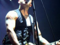 live 20140315 0208 Broilers live 20140315 0208 Broilers
