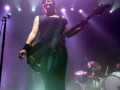 live 20140315 0209 Broilers live 20140315 0209 Broilers
