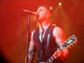 live 20140315 0213 Broilers live 20140315 0213 Broilers