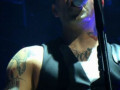 live 20140315 0216 Broilers live 20140315 0216 Broilers