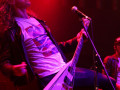 live 20150217 01 07 Bombus