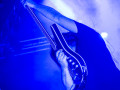 live 20150718 10120 carcass live 20150718 10120 carcass