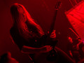 live 20150718 1094 carcass live 20150718 1094 carcass