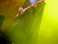 20240719 live eivor 20240719 live eivor