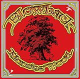 morning-wood-album.jpg