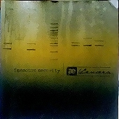 venaera-insecuresecurity.jpg venaera-insecuresecurity.jpg