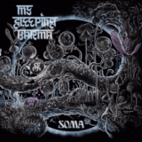 My_sleeping_karma_-_Soma