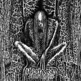 Ildjarn ForestPoetry