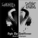 WigirdVSSunshineAnd Lollipops SplitTheIndifference