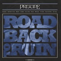 pristine roadbacktoruin