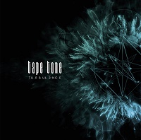 tape tone Turbulence 200
