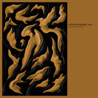 mitochondrialsun bodiesandgold