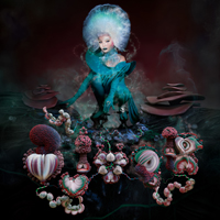 björk fossora