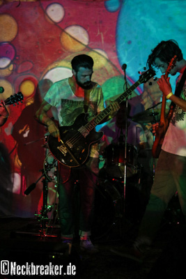 live 20170525 0102 BeesMadeHoneyInTheVeinTree