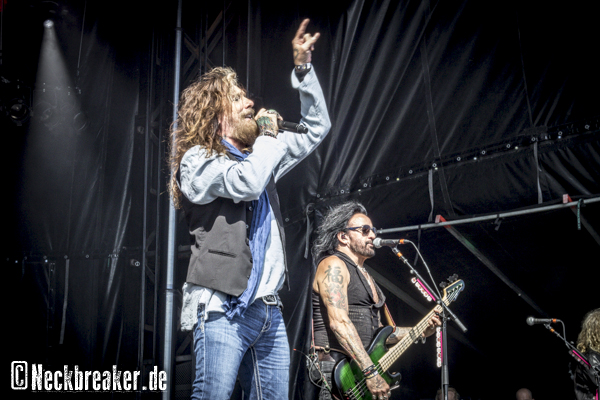 TheDeadDaisies