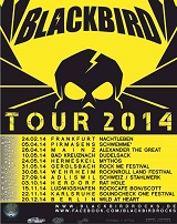 blackbird tour small