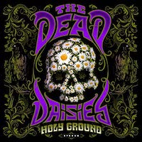 DeadDaisiesHolyGround